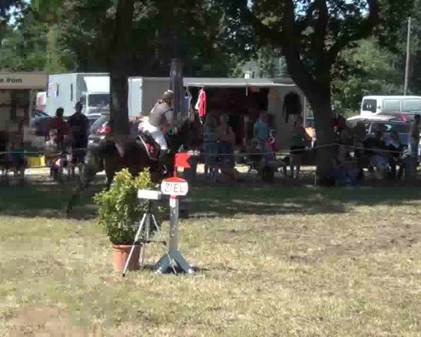 Herfart, Jubiläumsturnier m.Kreismeisterschaften d.RB Steinburg 2013