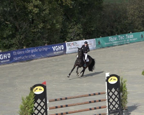 Reitturnier Scharnebeck 2024