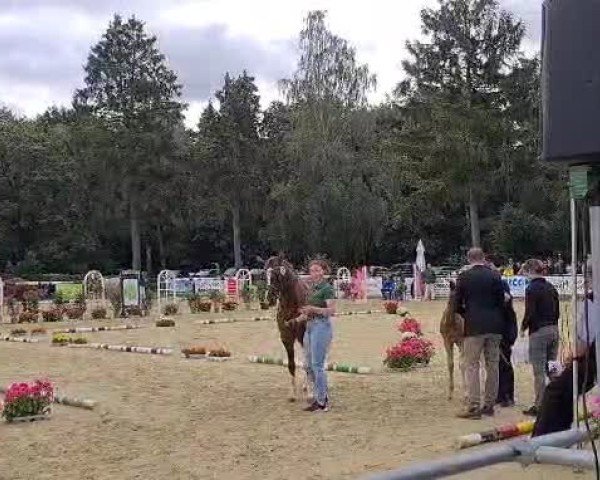 Video of Dating‘s Farbklecks