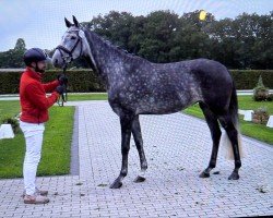 Pferd First May Lady (Westfale, 2020, von Fashion In Black NRW)