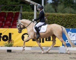 Fattrice Melli`s Jellymay (Pony da Sella Tedesco, 2021, di Melli's Darmani)