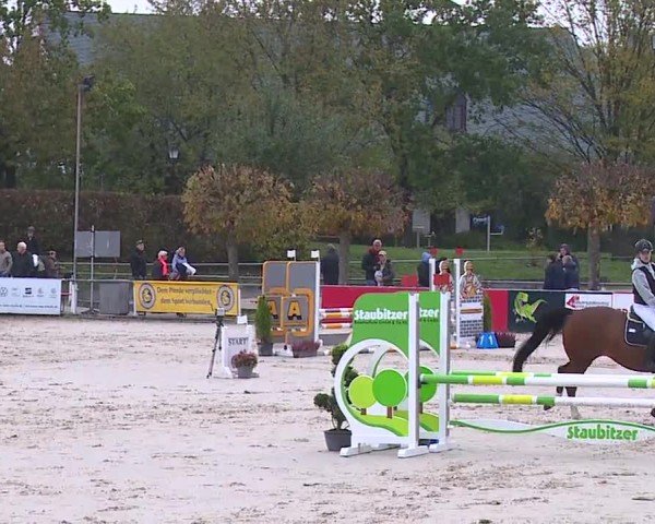 Reitturnier Frankenhof-Sonnefeld/Ofr. 2024