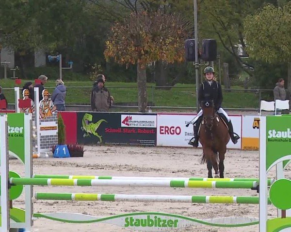 Reitturnier Frankenhof-Sonnefeld/Ofr. 2024