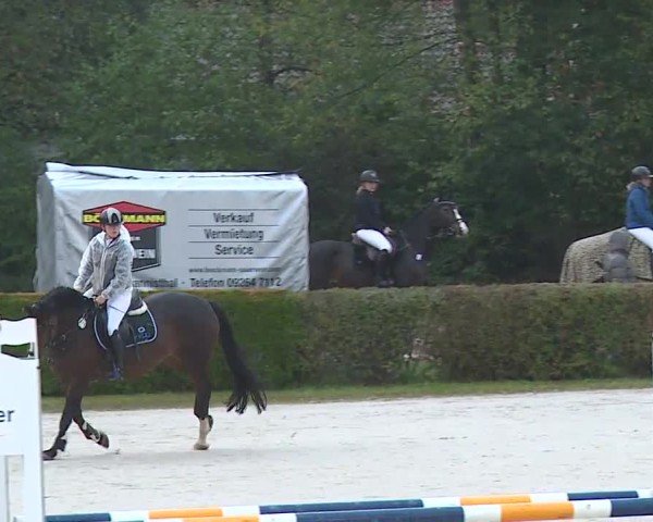 Reitturnier Frankenhof-Sonnefeld/Ofr. 2024
