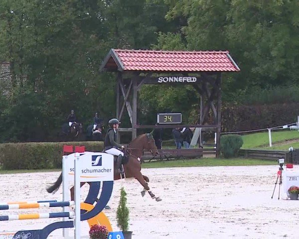 Reitturnier Frankenhof-Sonnefeld/Ofr. 2024