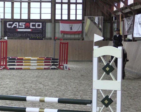Reitturnier Elisenau 2024