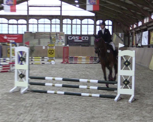 Reitturnier Elisenau 2024