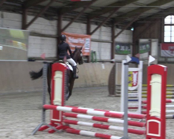 Reitturnier Elisenau 2024