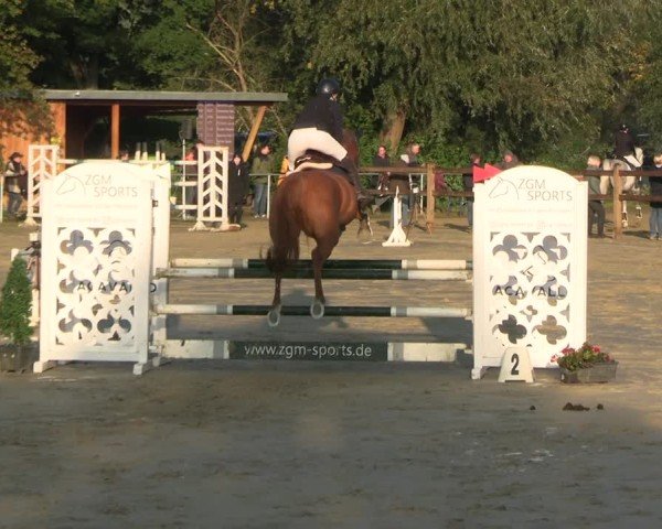 Reitturnier Kamen 2024