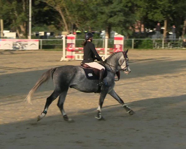 Reitturnier Kamen 2024
