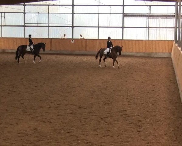Reitturnier Herbern 2013