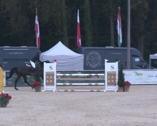 Reitturnier Ranshofen - Braunau am Inn 2024