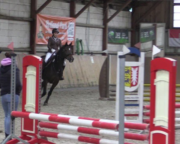 Reitturnier Elisenau 2024