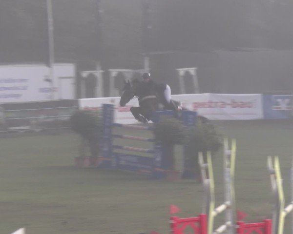 Reitturnier Scharnebeck 2024