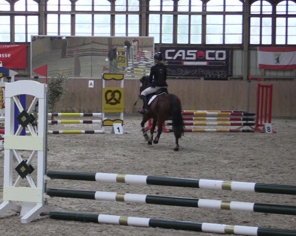Reitturnier Elisenau 2024