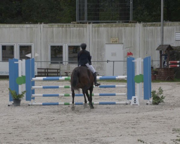 Reitturnier Pietzpuhl 2024
