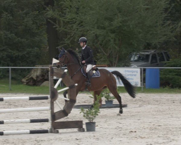 Reitturnier Pietzpuhl 2024