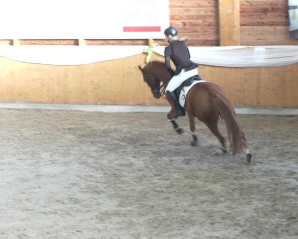 Reitturnier Xanten - Reitanlage Miss 2024