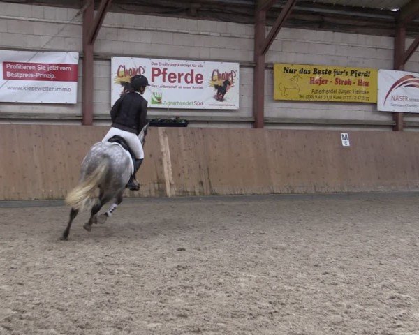 Reitturnier Elisenau 2024