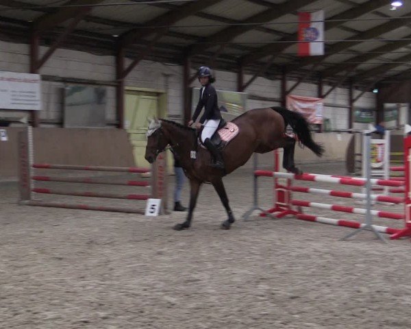 Reitturnier Elisenau 2024