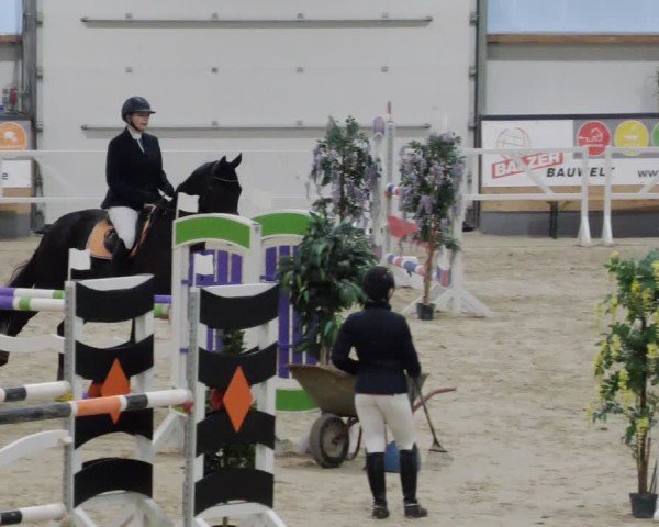 Reitturnier Borken 2024