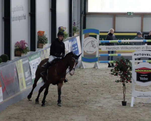 Reitturnier Borken 2024