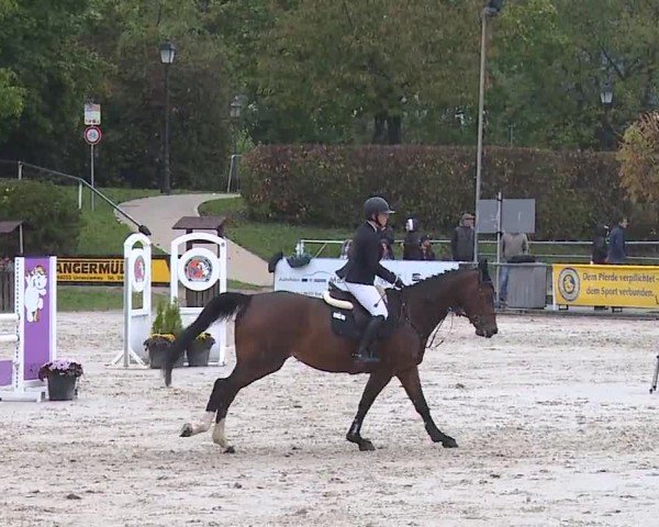 Reitturnier Frankenhof-Sonnefeld/Ofr. 2024