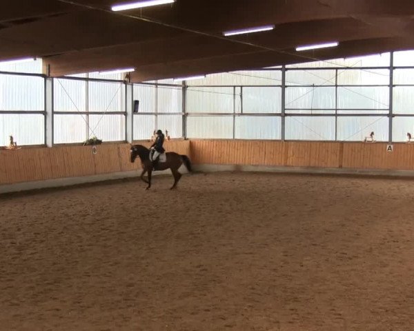 Reitturnier Herbern 2013