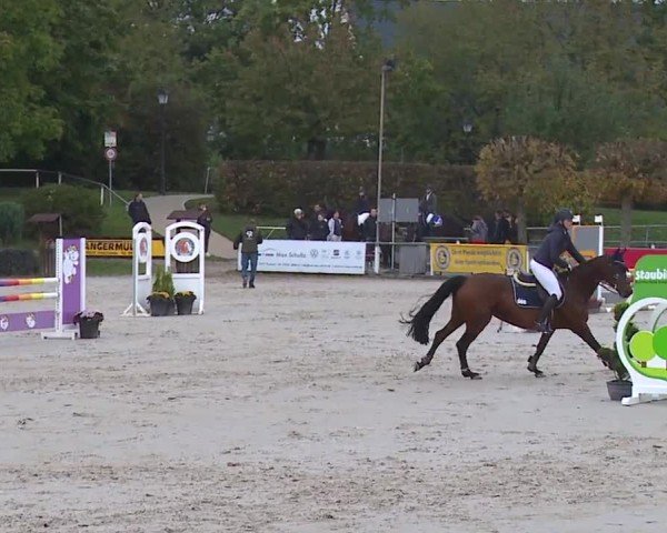 Reitturnier Frankenhof-Sonnefeld/Ofr. 2024