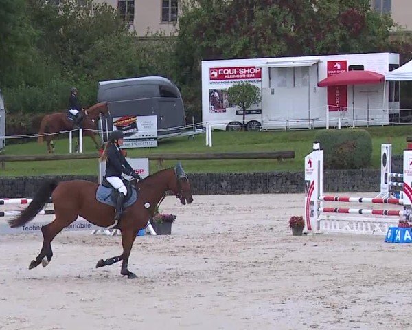 Reitturnier Frankenhof-Sonnefeld/Ofr. 2024