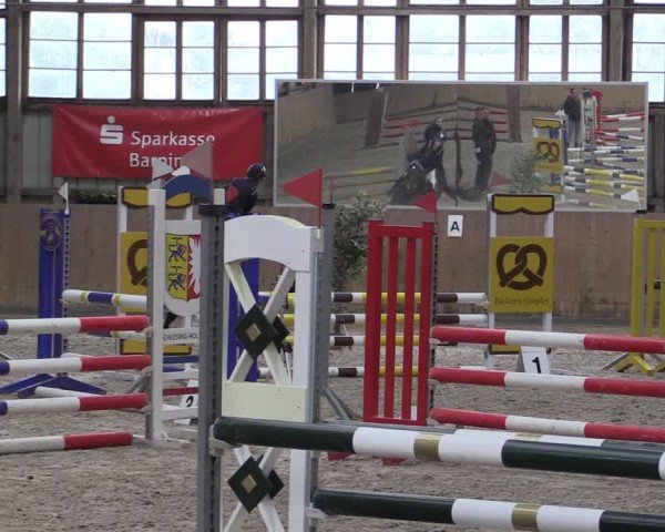 Reitturnier Elisenau 2024