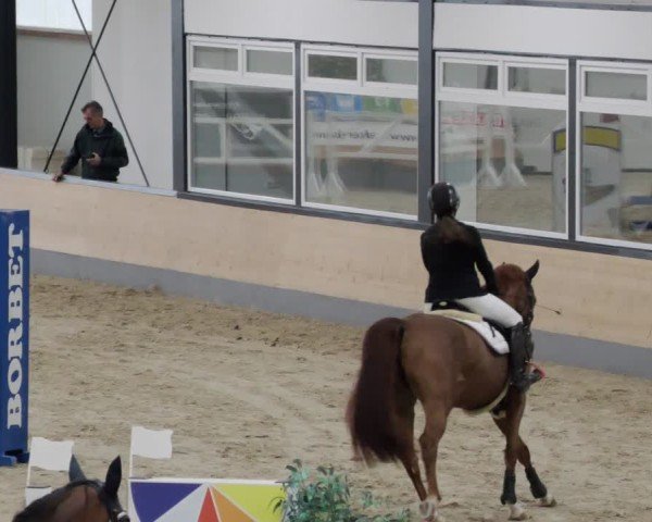 Reitturnier Borken 2024