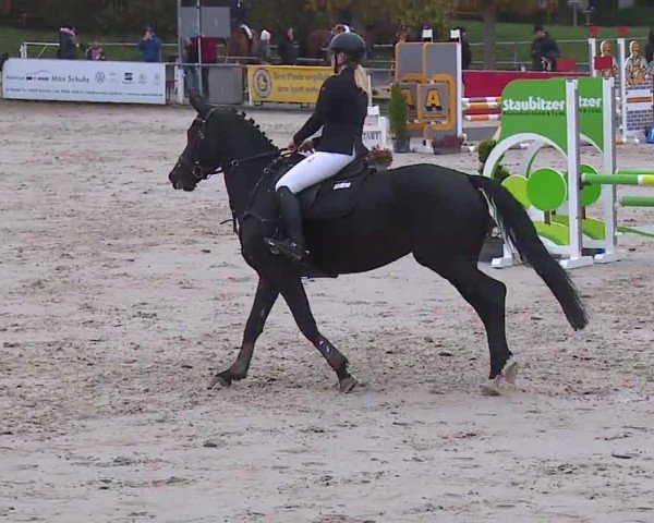 Reitturnier Frankenhof-Sonnefeld/Ofr. 2024