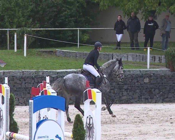 Reitturnier Frankenhof-Sonnefeld/Ofr. 2024