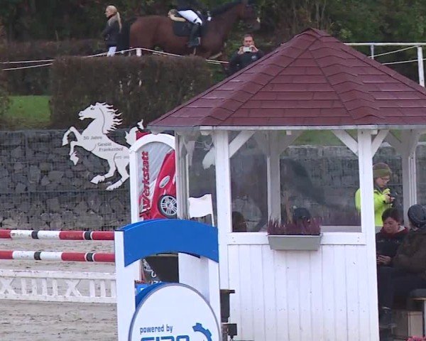 Reitturnier Frankenhof-Sonnefeld/Ofr. 2024