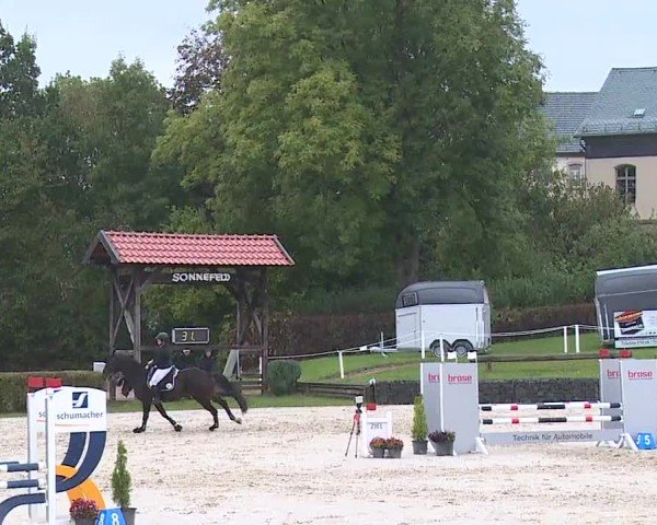 Reitturnier Frankenhof-Sonnefeld/Ofr. 2024