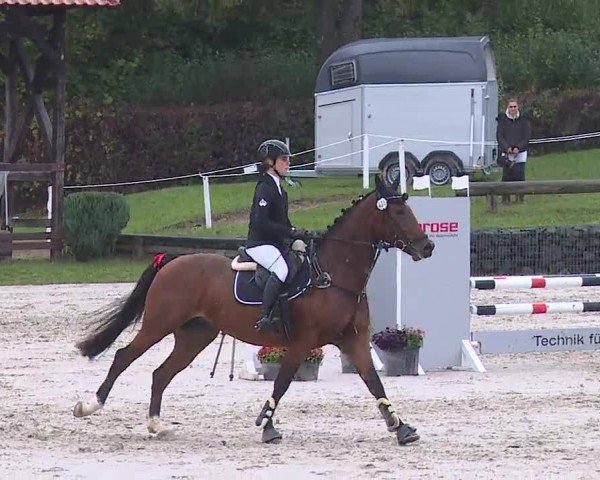 Reitturnier Frankenhof-Sonnefeld/Ofr. 2024