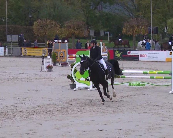 Reitturnier Frankenhof-Sonnefeld/Ofr. 2024