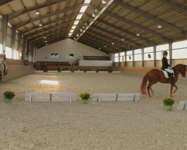 Reitturnier Frechen-Grefrath - Sonnenhof 2024