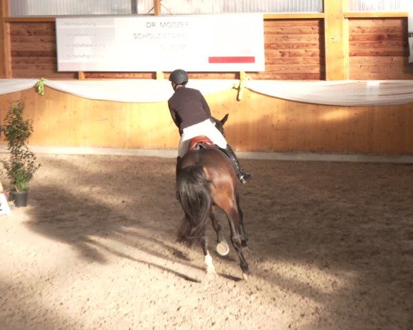 Reitturnier Xanten - Reitanlage Miss 2024