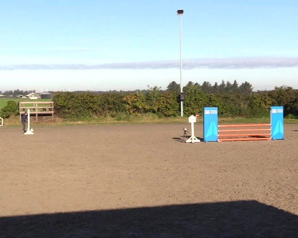 Reitturnier Risum-Lindholm 2024