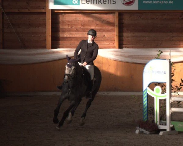 Reitturnier Xanten - Reitanlage Miss 2024