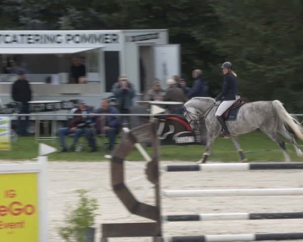 Reitturnier Pietzpuhl 2024