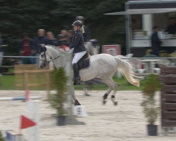 Reitturnier Pietzpuhl 2024