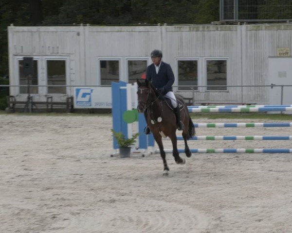 Reitturnier Pietzpuhl 2024