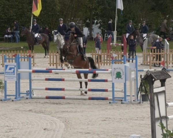Reitturnier Pietzpuhl 2024