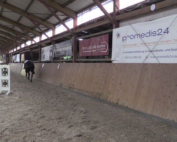 Reitturnier Elisenau 2024