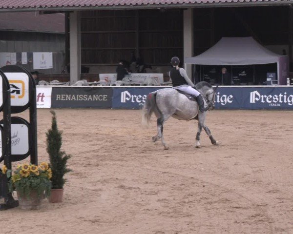 Reitturnier Ranshofen - Braunau am Inn 2024