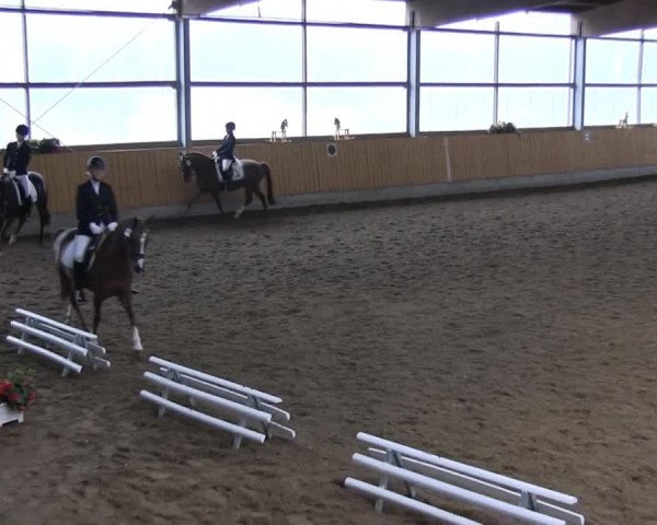 Großes Reit- und Springturnier 2013 des RuF