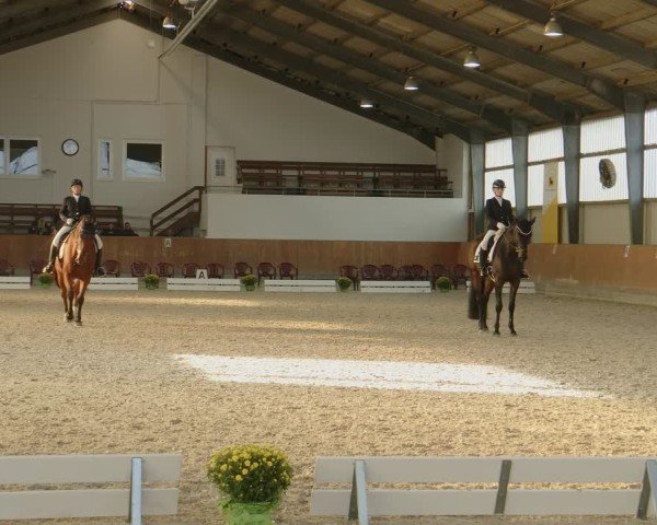 Reitturnier Frechen-Grefrath - Sonnenhof 2024